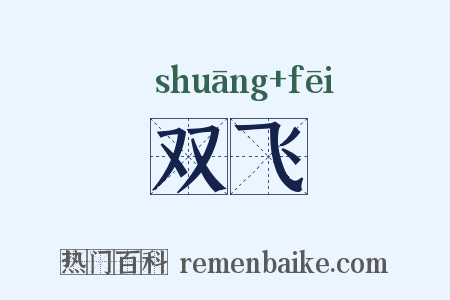 双飞是什么意思的图片